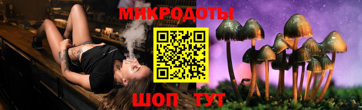 Кирово-Чепецк  где купить наркотик  Вход с VPN  Псилоцибиновые грибы GOLDEN TEACHER 
